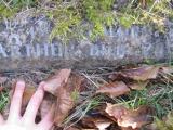 image of grave number 504793